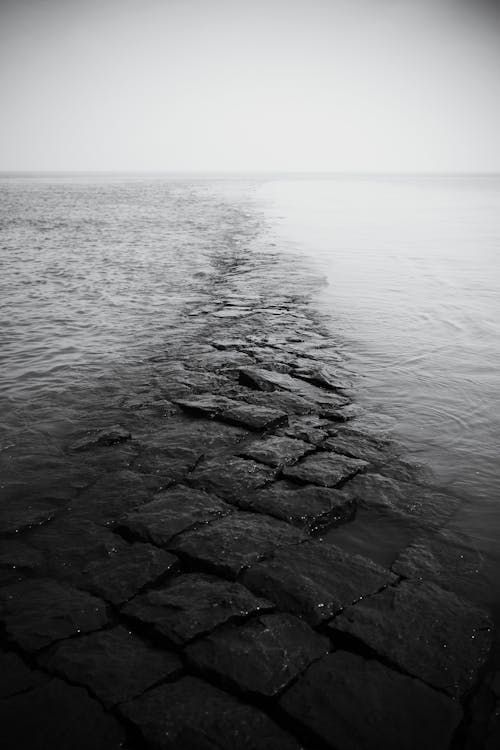 Way of Water